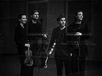 SignumQuartett_copyright_IreneZandel