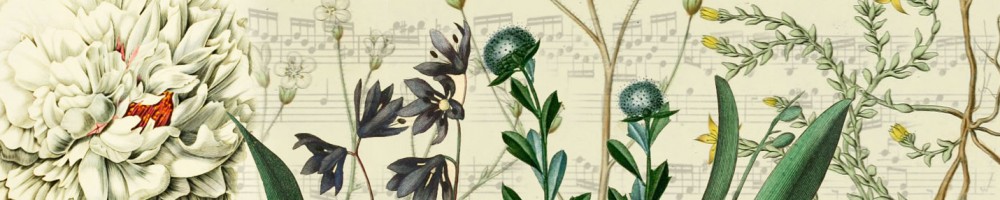 Archives du festival de musique racinotes